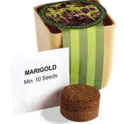 Flower Pot Set With Marigold Seeds